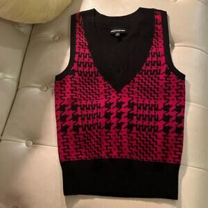 express sweater vest